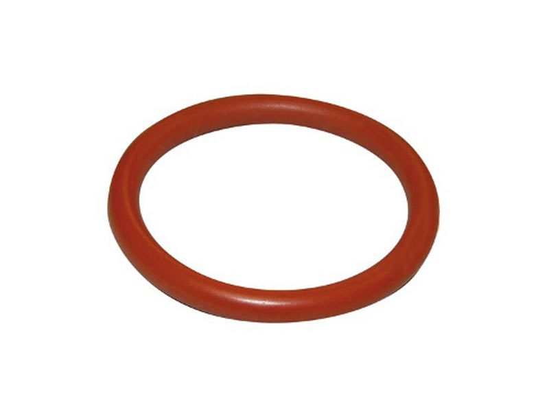 Philips-Saeco-Minuto-O-Ring-(996530059406).jpg_product